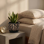 Matte Black Etched Botanical Ceramic Planter with Saucer