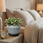 Speckled Grey and Mint Drip Glaze Ceramic Planter with Saucer