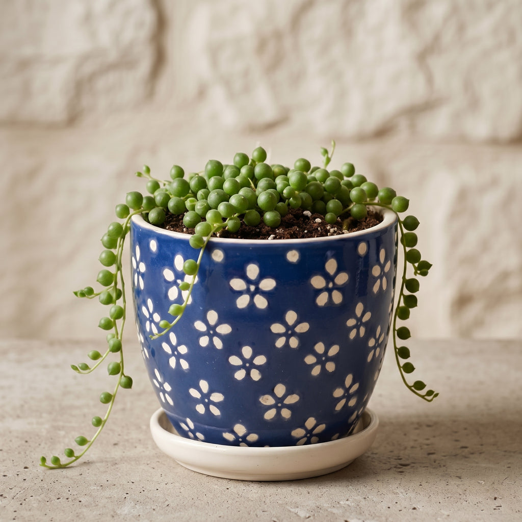 Cobalt Blue Floral Ceramic Planter with Saucer