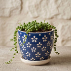 Cobalt Blue Floral Ceramic Planter with Saucer